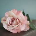 Rose Artificielle Shabby Chic ambiance Vintage