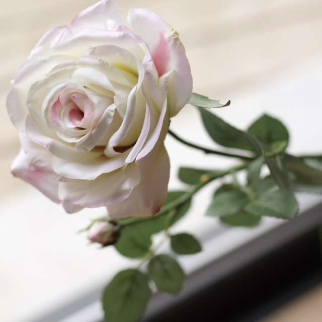 Acheter Tige de Rosier artificielle Blanche pour Bouquets Romantiques