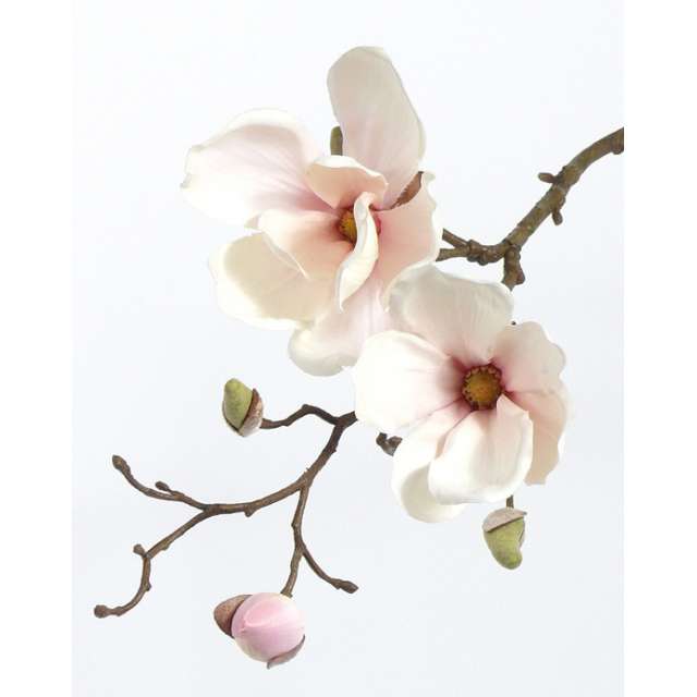 Branche de Magnolia Pastel Crème Fleurs Artificielles