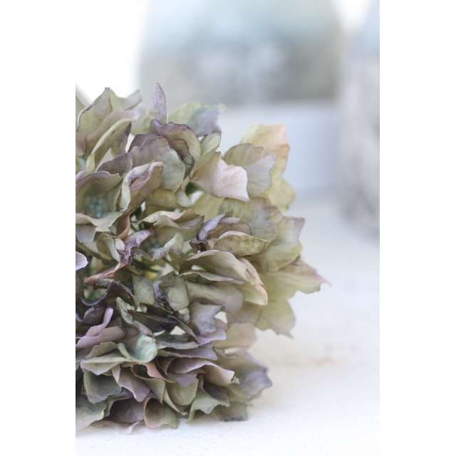 hortensia artificiel Vert et mauve Charme