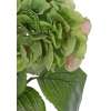Hortensia Artificiel Vert