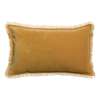 Coussin Velours Mirabelle 30x50 cm