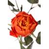 Rose Ancienne Artificielle couleur Corail