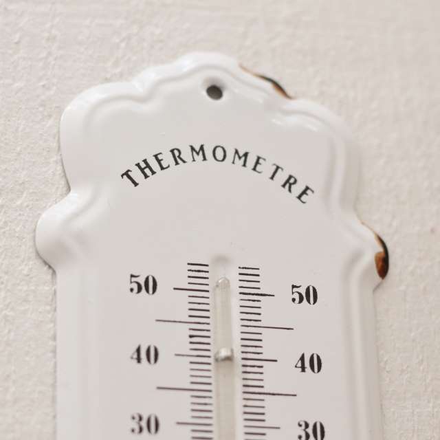 Thermomètre Mural Décoration de charme de la maison en vente en ligne
