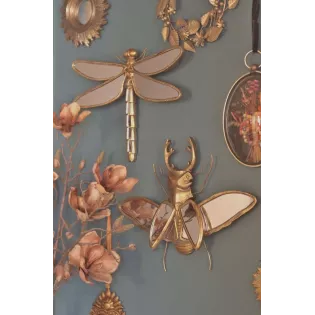 Miroir Insecte Cabinet de Curiosités