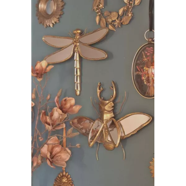 Miroir Insecte Cabinet de Curiosités