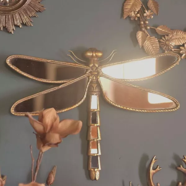 Miroir Insecte Cabinet de Curiosités