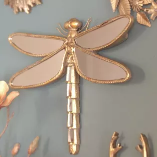 Miroir Insecte Cabinet de Curiosités