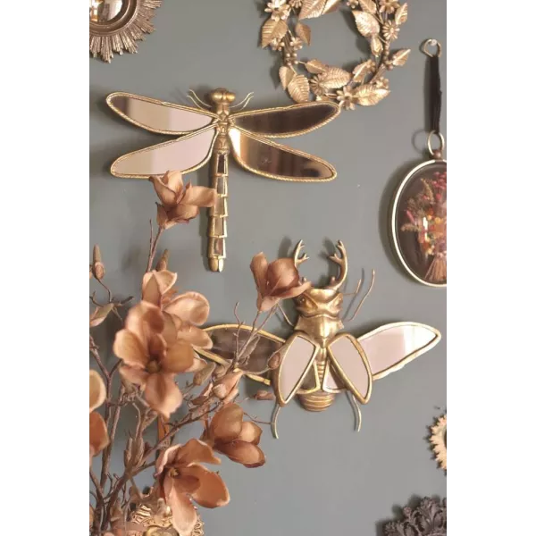 Miroir Insecte Cabinet de Curiosités