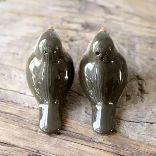 Salière Poivrière Décoration Oiseaux