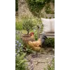 Coq Résine Déco Jardin