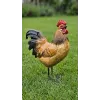Coq Déco Jardin