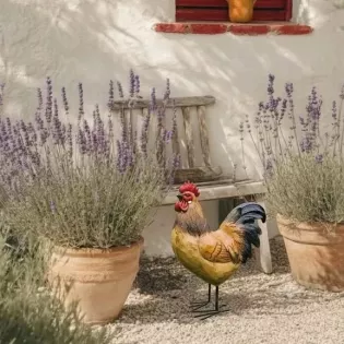 Coq Décoration Extérieure