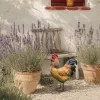 Coq Décoration Extérieure