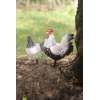 Coq à poser Résine Déco Jardin Champêtre