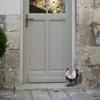 Coq à poser en Résine Déco Jardin