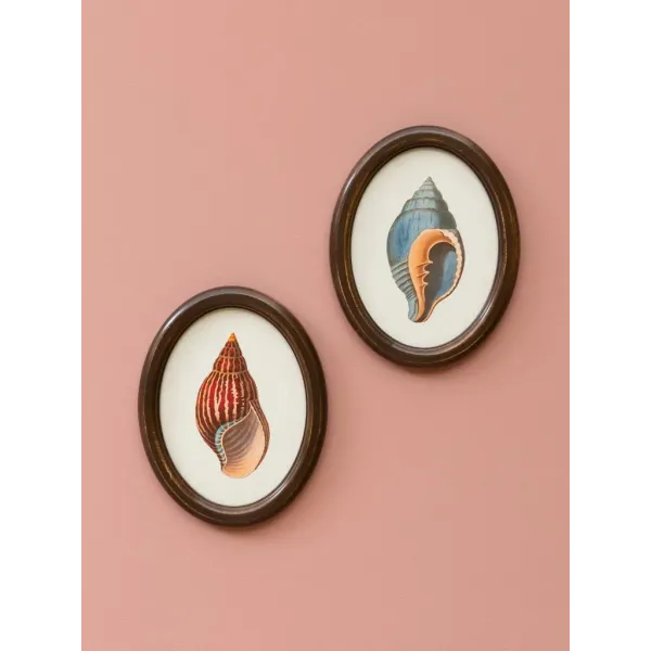 Duo de Cadres Coquillages Ovales Chehoma, Style rétro-Vintage