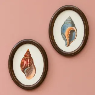 Cadres Coquillages Maison Chehoma, Style rétro-Vintage