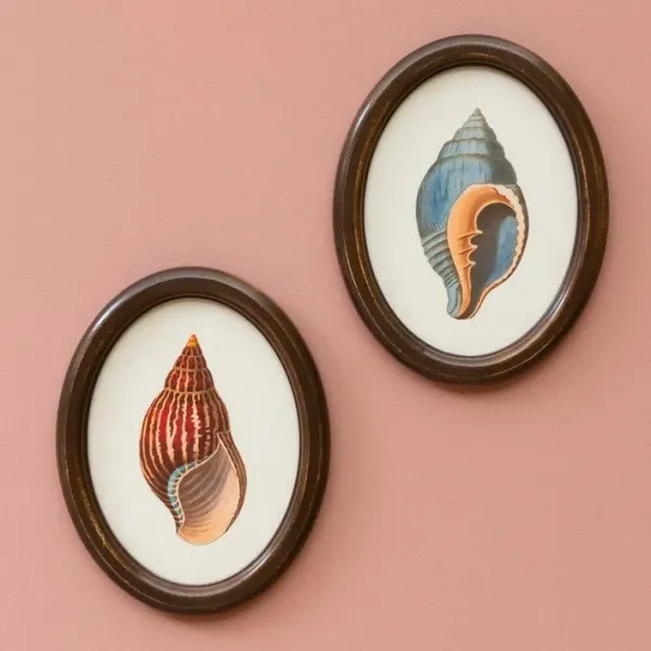Cadres Coquillages Maison Chehoma, Style rétro-Vintage