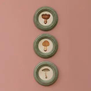 Trio de Cadres Champignons Style Campagne chic