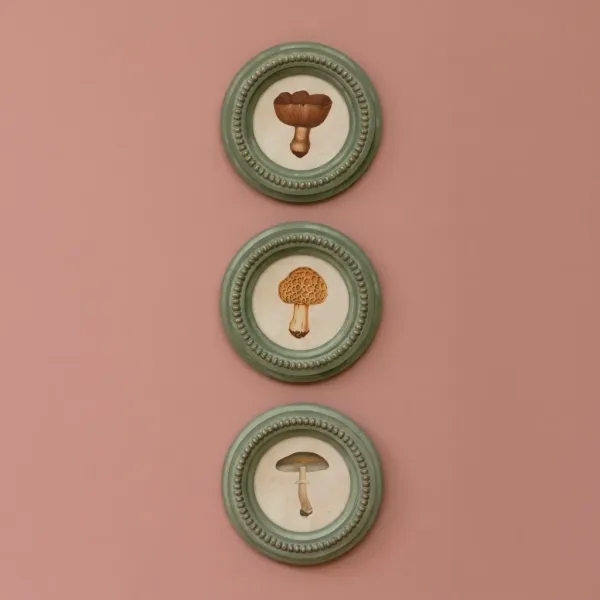 Trio de Cadres Champignons Style Campagne chic