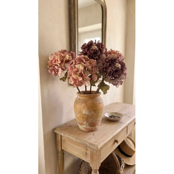Hortensias Rose et violet aux couleurs de l'automne nuancée