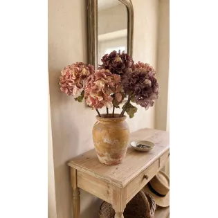 Hortensia violet aux couleurs de l'automne