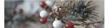 CADEAU NOËL DECO