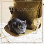 Les Coussins Cosy Déco