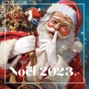 Noël 2023 Cosy Déco