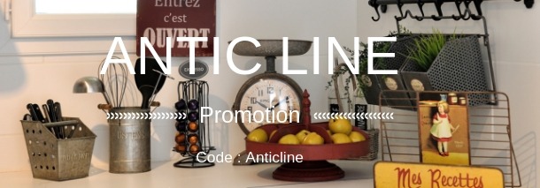 Code Promo Anticline chez CosyDéco